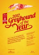 Finalists for the 2012 SA Greyhound of the Year